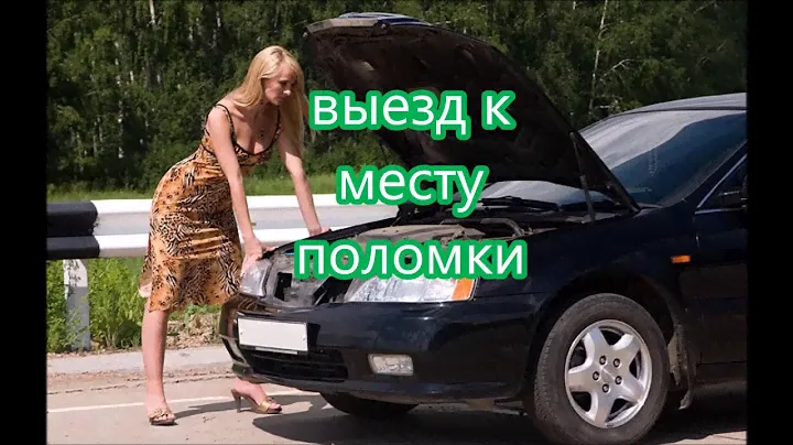 мастерская автоэлектрики kleo