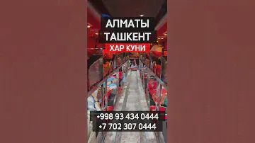 Алматы Ташкент спальный салон автобус #алматы #ташкент #спальныйсалон #автобус