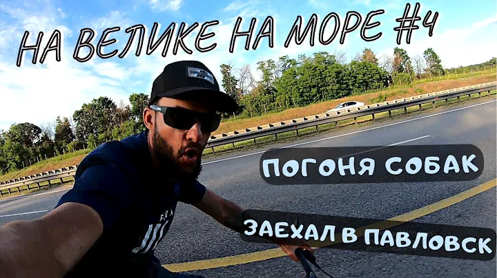 №4 Выехал с Воронежа/Нарвался на собак/Заехал в город Павловск
